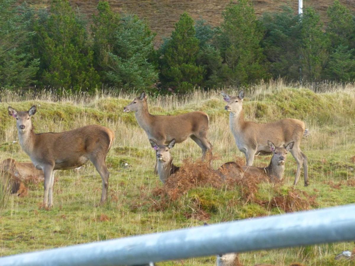 Stags View Holiday Home Portree Exterior foto