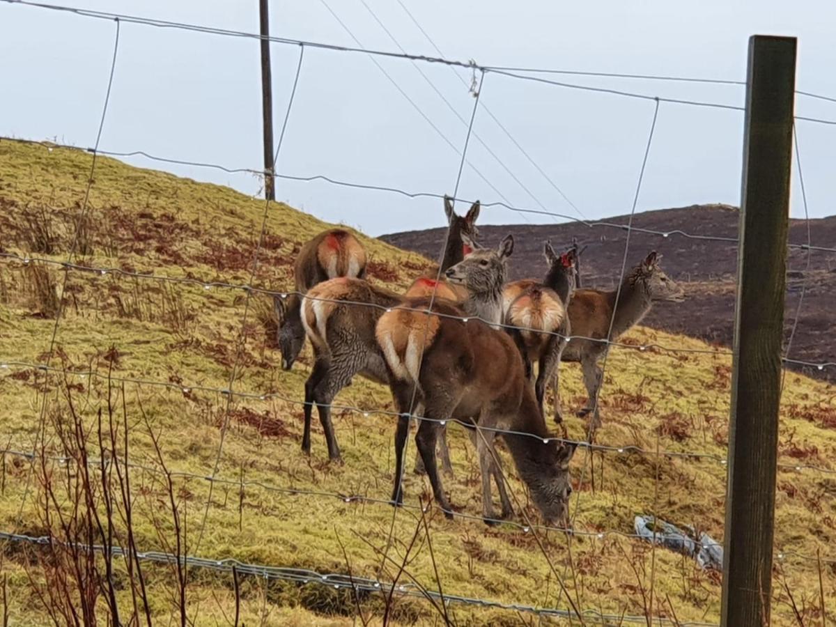 Stags View Holiday Home Portree Exterior foto